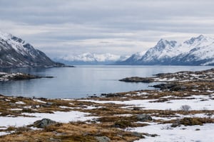 Nordisk vinterlandskap-1
